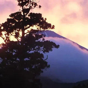 Hananoyado Fukuya Ryokan (tradycyjny japoński pensjonat lub zajazd) Hakone